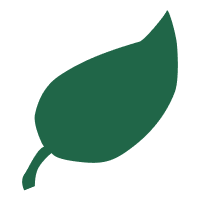 תערובות תיבול